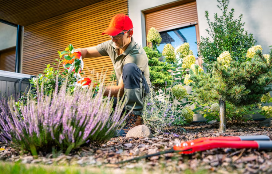 Exploring Modern Solutions for a Safer and More Appealing Home
