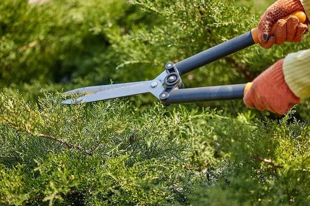 Fall Landscaping Maintenance Tips for Homeowners
